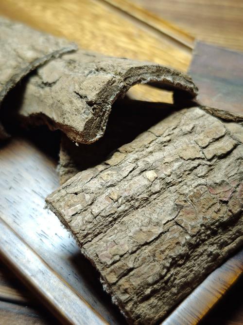 炒杜仲与生杜仲的区别:功效、外观及选购指南 炒杜仲与生杜仲的区别:功效、外观及选购指南