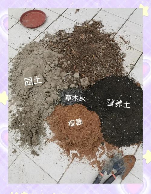 银杏树用什么土种植?配土方法、酸碱度与注意事项全解 六、常见土壤问题与快速补救