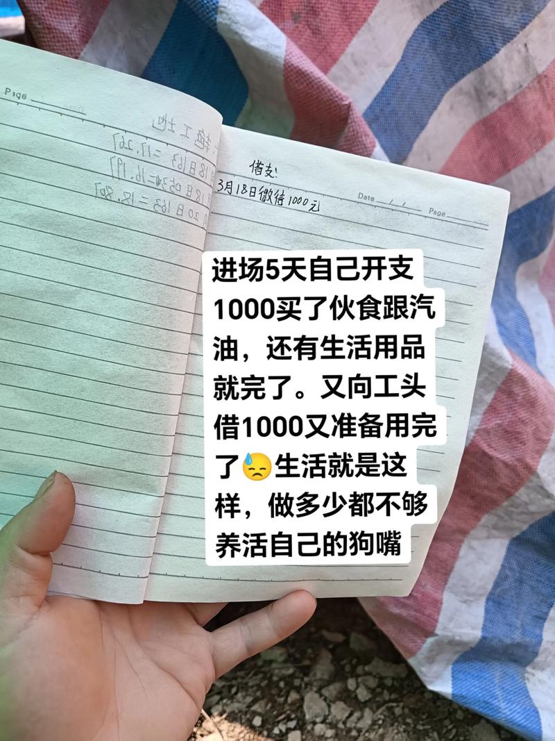 砍树一般多少钱?2025年最新费用参考与五大影响因素全解析 因素二:所在地区(区域人工与消费水平差异)