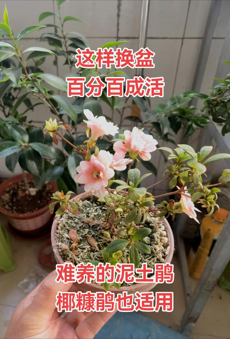 适宜时间