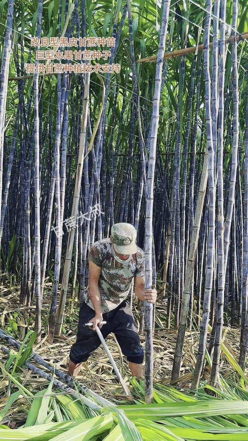 一、适宜时间