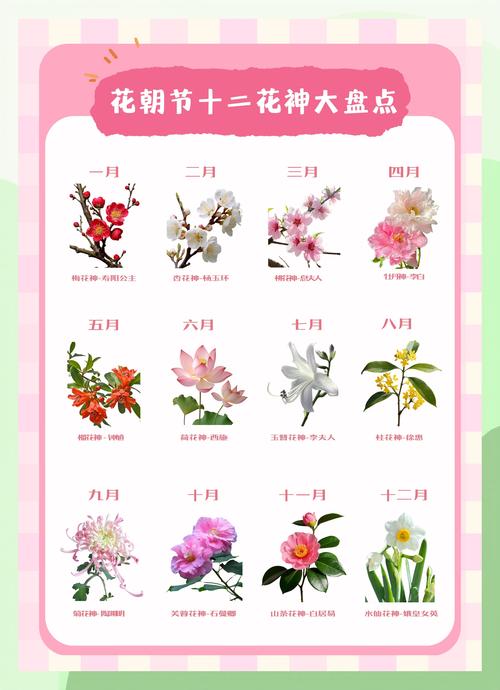 十二生肖对应的花卉有哪些？属相花寓意与风水讲究