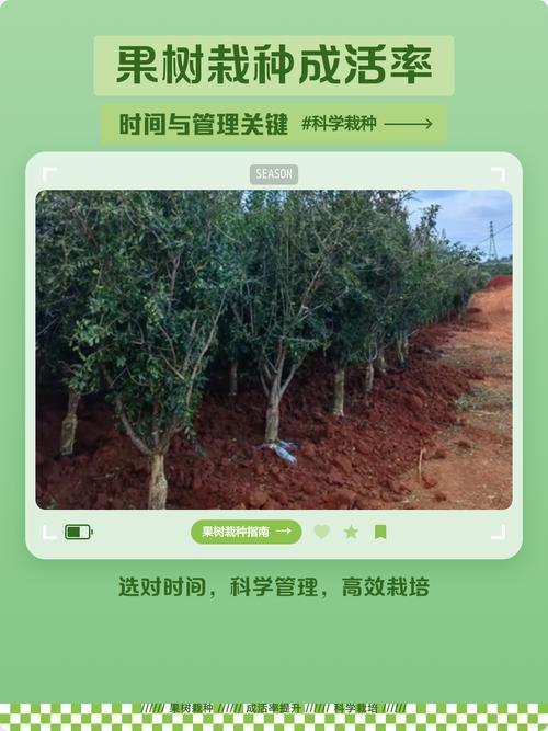 种果树赚钱吗?2026年科学选种与精细管理是实现盈利的核心关键 总结:实现盈利的三大关键验证