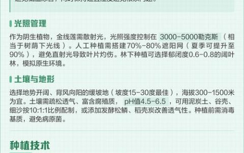 种植金线莲的环境条件与操作指南