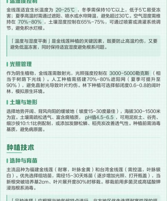 种植金线莲的环境条件与操作指南