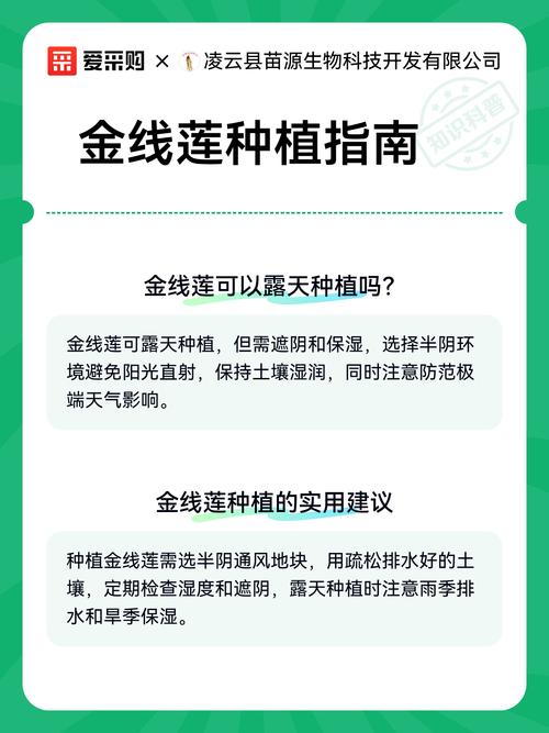 三、栽前处理