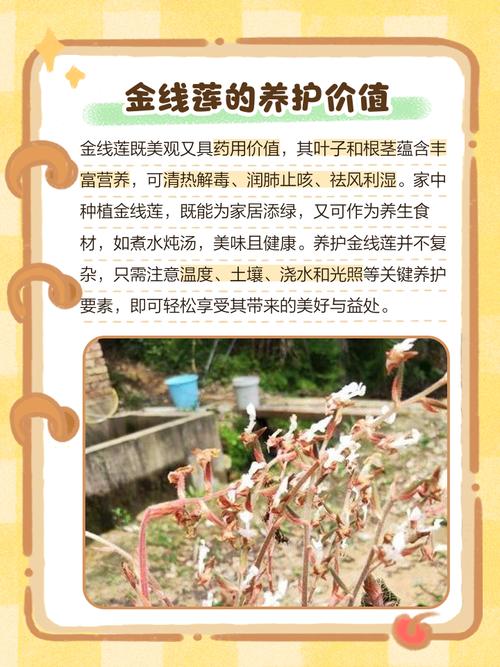 七、成活注意事项