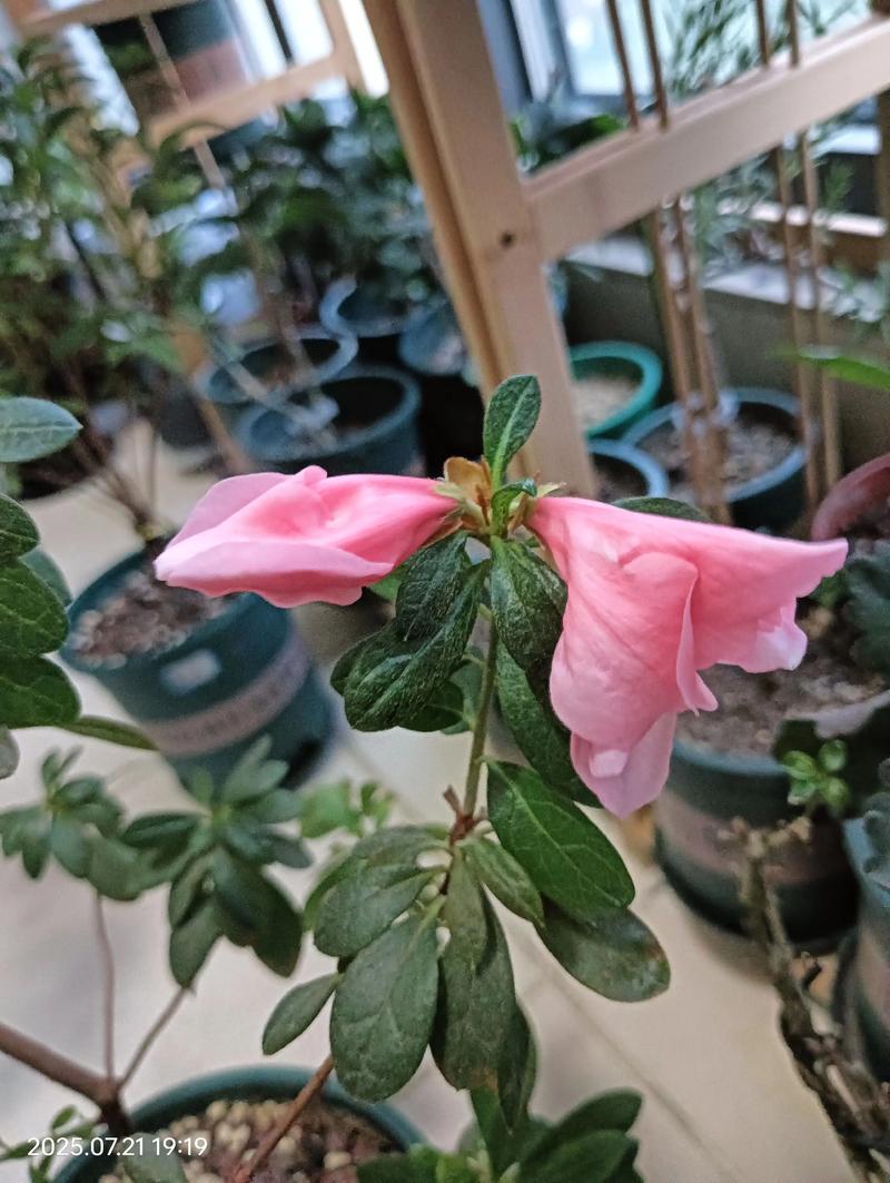 一、先确认：到底缺不缺水
