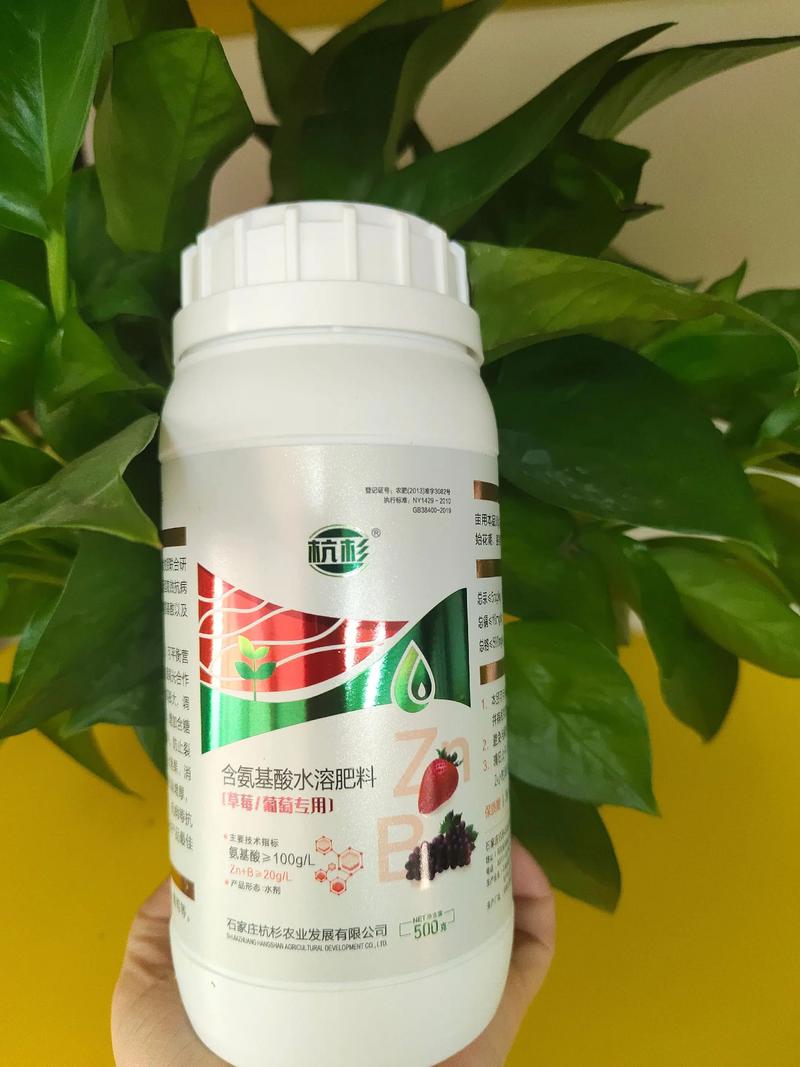 草莓水溶肥用什么好?选对配方与时期,甜度高产量翻倍 四、为什么推荐含硝态氮的水溶肥?