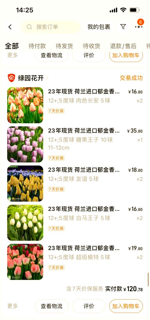 哪里买郁金香种球不踩坑?从渠道评估到验收的一站式指南 品种真实性核查与规格匹配度分析