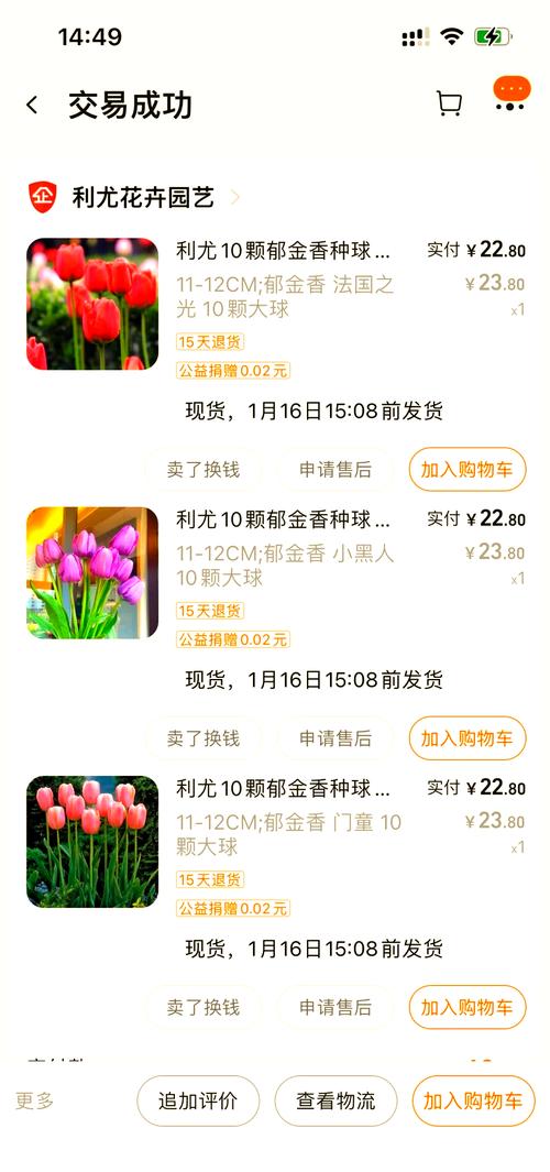 哪里买郁金香种球不踩坑?从渠道评估到验收的一站式指南 审核售后补苗政策并形成书面约定
