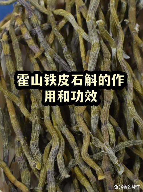 二、为什么差异这么大？逻辑解释