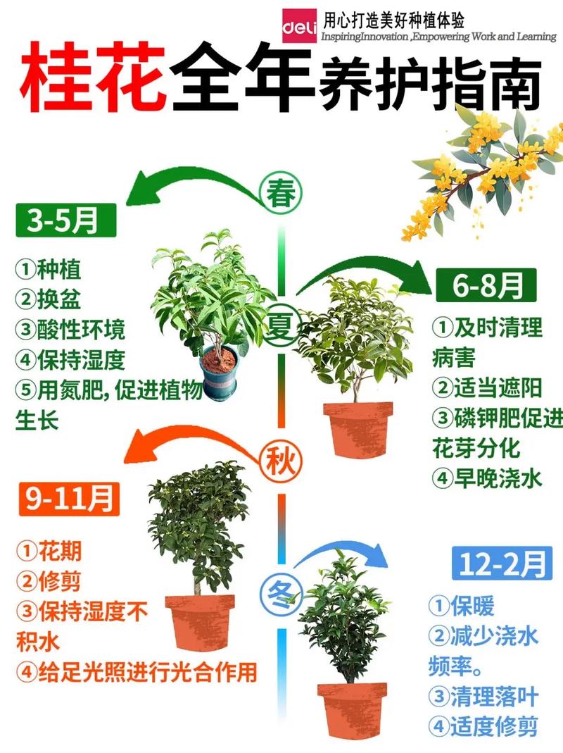 越冬越夏：南北方养护策略差异明显