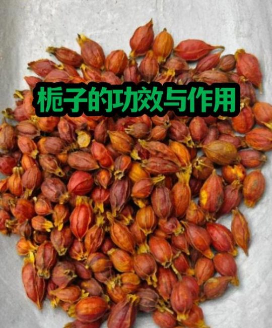 栀子花干了有什么用处？从泡茶到香薰，干花变废为宝的5种妙用