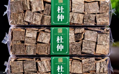 杜仲树皮价格多少钱一斤？2025年最新市场报价与影响因素全解析