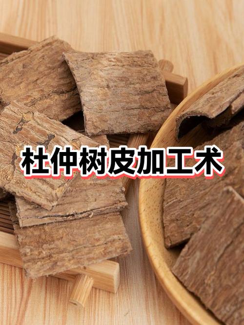 咨询与建议