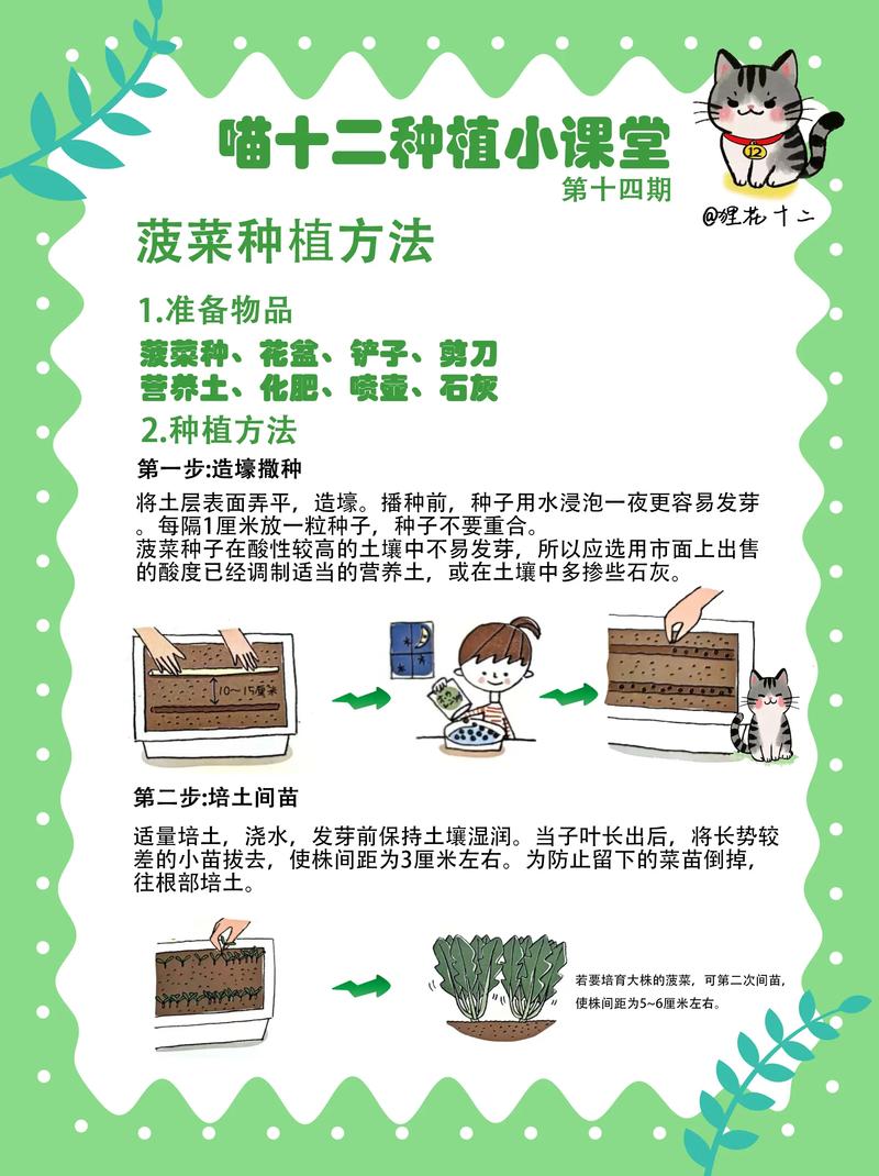 水培蔬菜怎么种?从零开始的全流程操作指南 光照管理