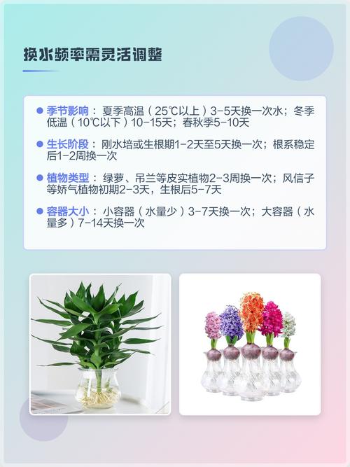 水培植物需要换水吗?换水频率与养护指南 常见问题(FAQ)