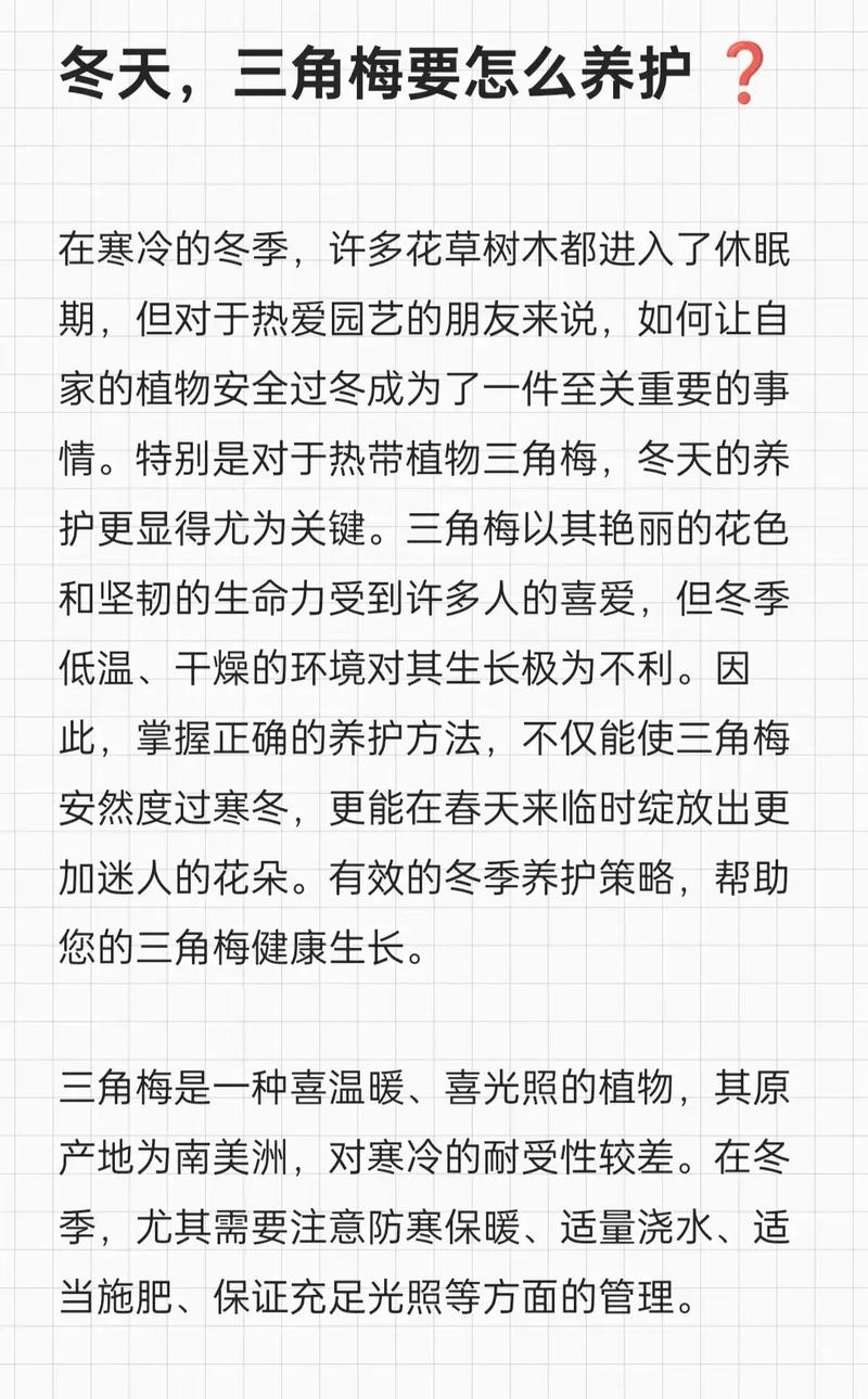 三角梅冬天开花怎么办?从促花技巧到地域化养护全攻略 总结
