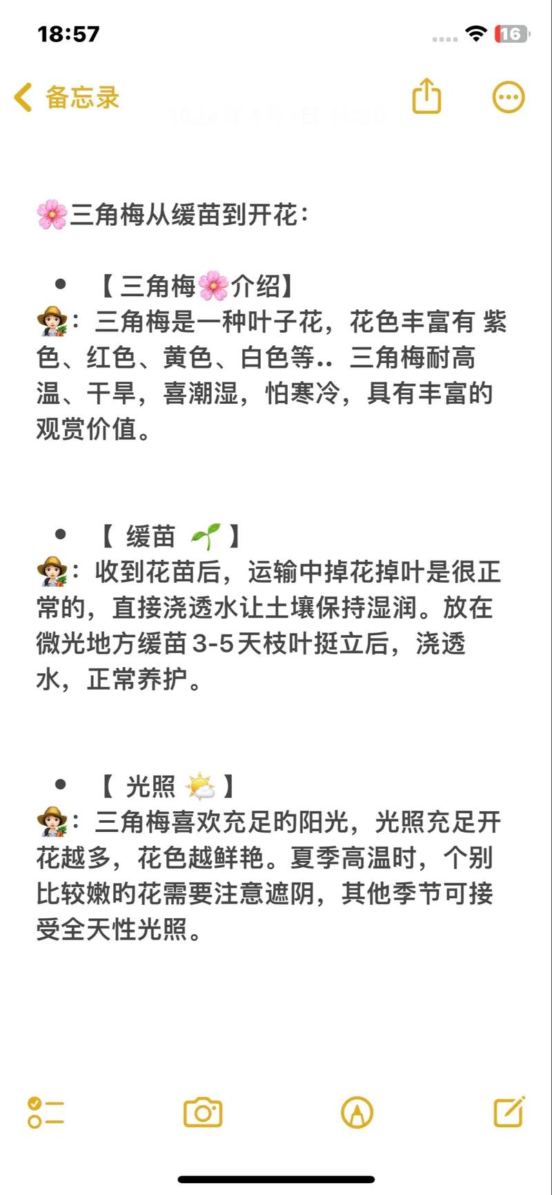 三角梅冬天开花怎么办?从促花技巧到地域化养护全攻略 常见问题FAQ