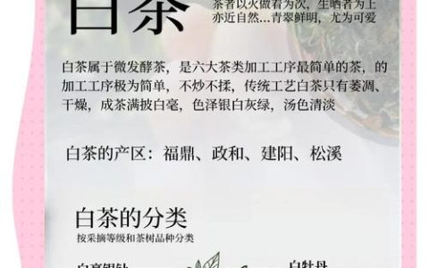 白茶与绿茶的区别与功效：发酵工艺与营养价值的深度解析