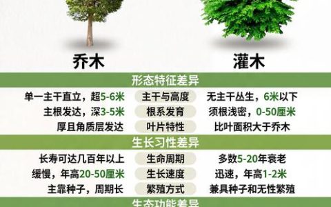 乔木与灌木怎么区分？从形态、结构到园林应用的全维度对比指南