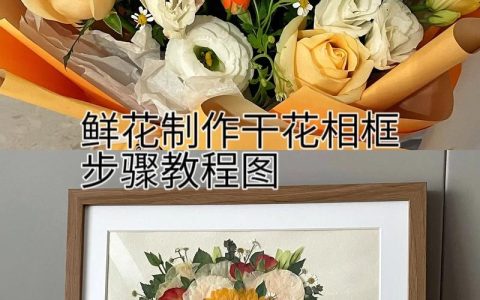 如何将鲜花变成干花？简单实用的干花制作教程