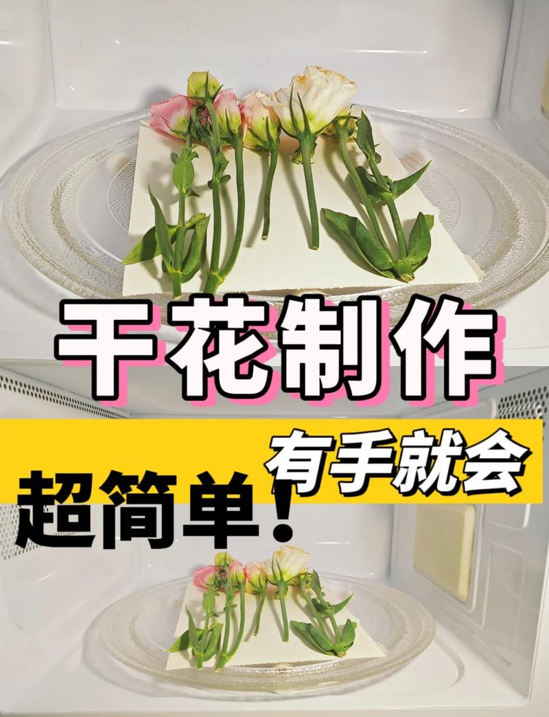 如何将鲜花变成干花?简单实用的干花制作教程 四、结语