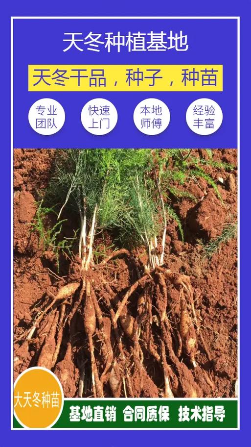 运输距离影响
