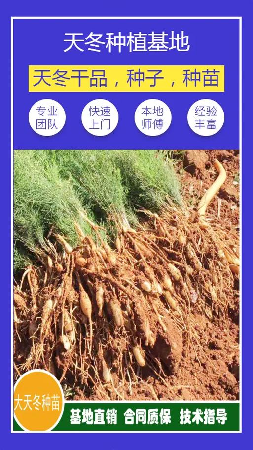 常见规格与对应价格区间