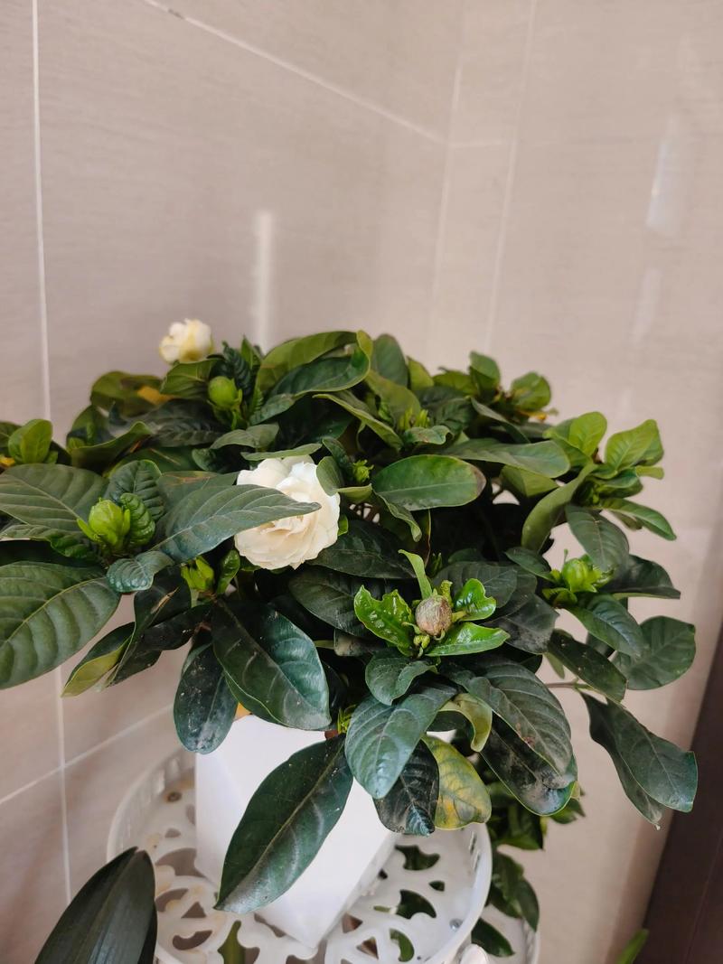 季节：抓住最佳购买时机
