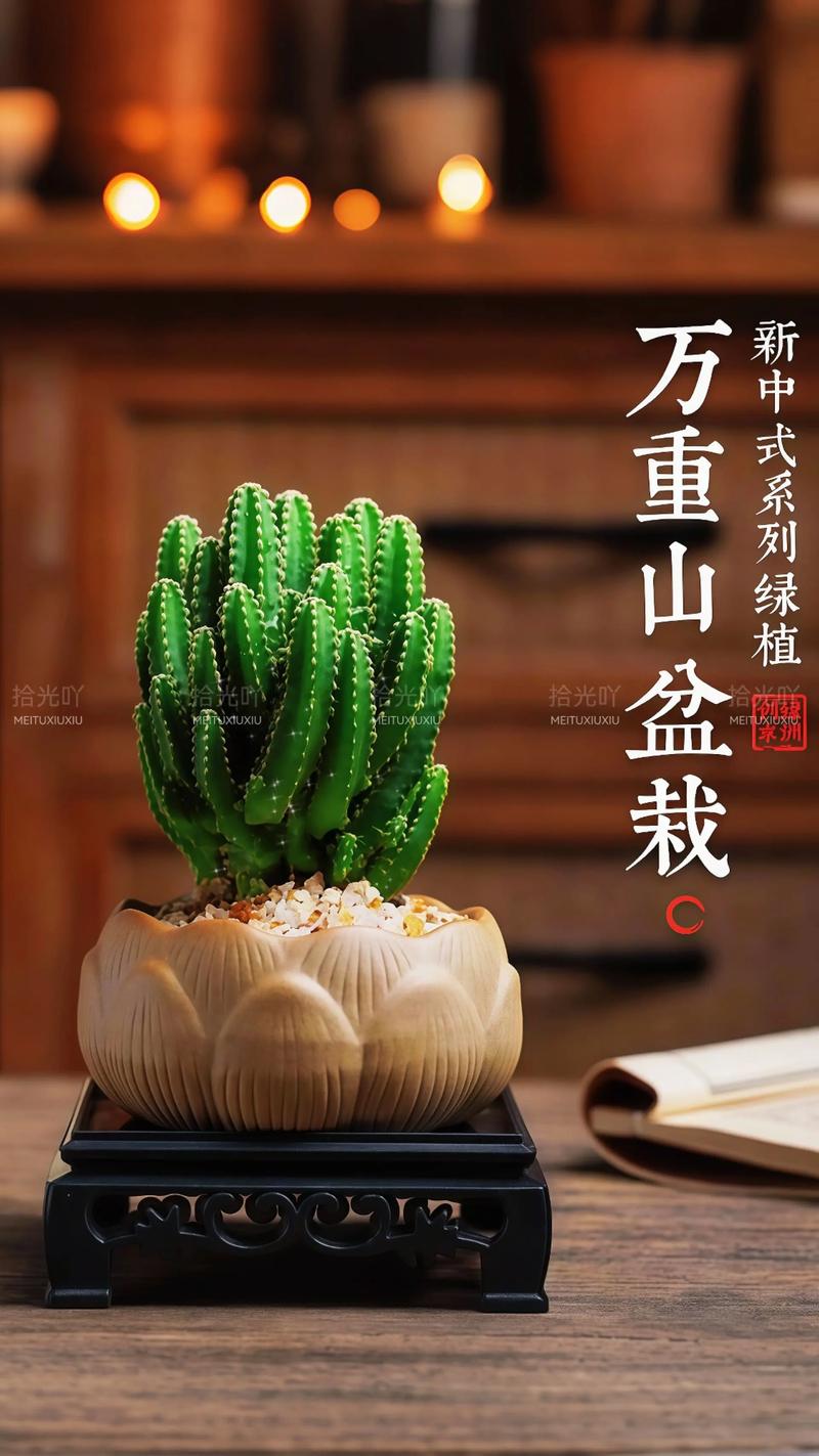 仙人掌是绿植吗?深度解析室内仙人掌的绿植身份 一、绿植的定义是什么?