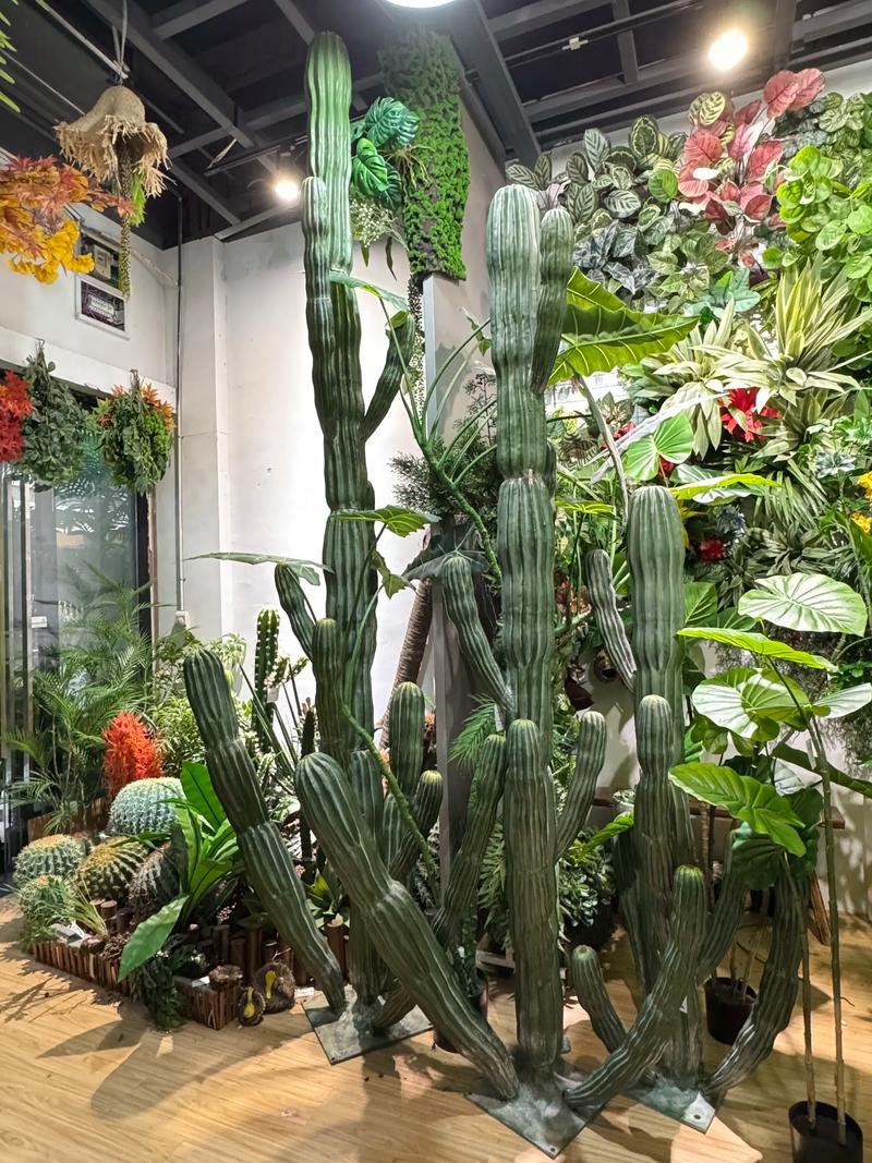 仙人掌是绿植吗?深度解析室内仙人掌的绿植身份 四、养护差异:为什么要把它们分开看待?
