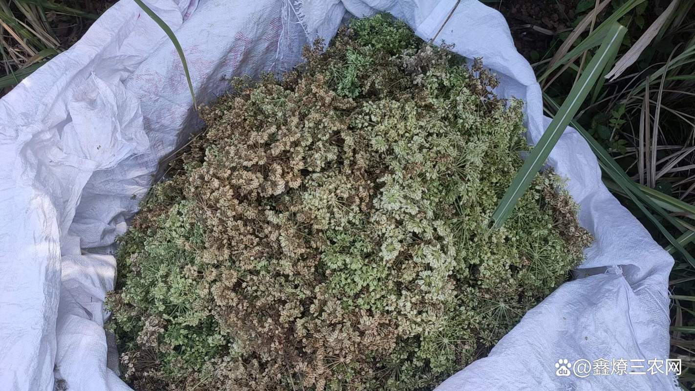 影响因素二：产地差异