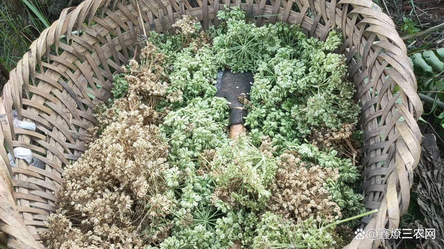 影响因素三：季节波动