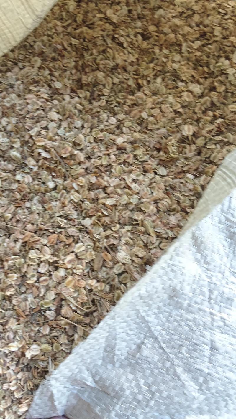 综合对比与询价指南
