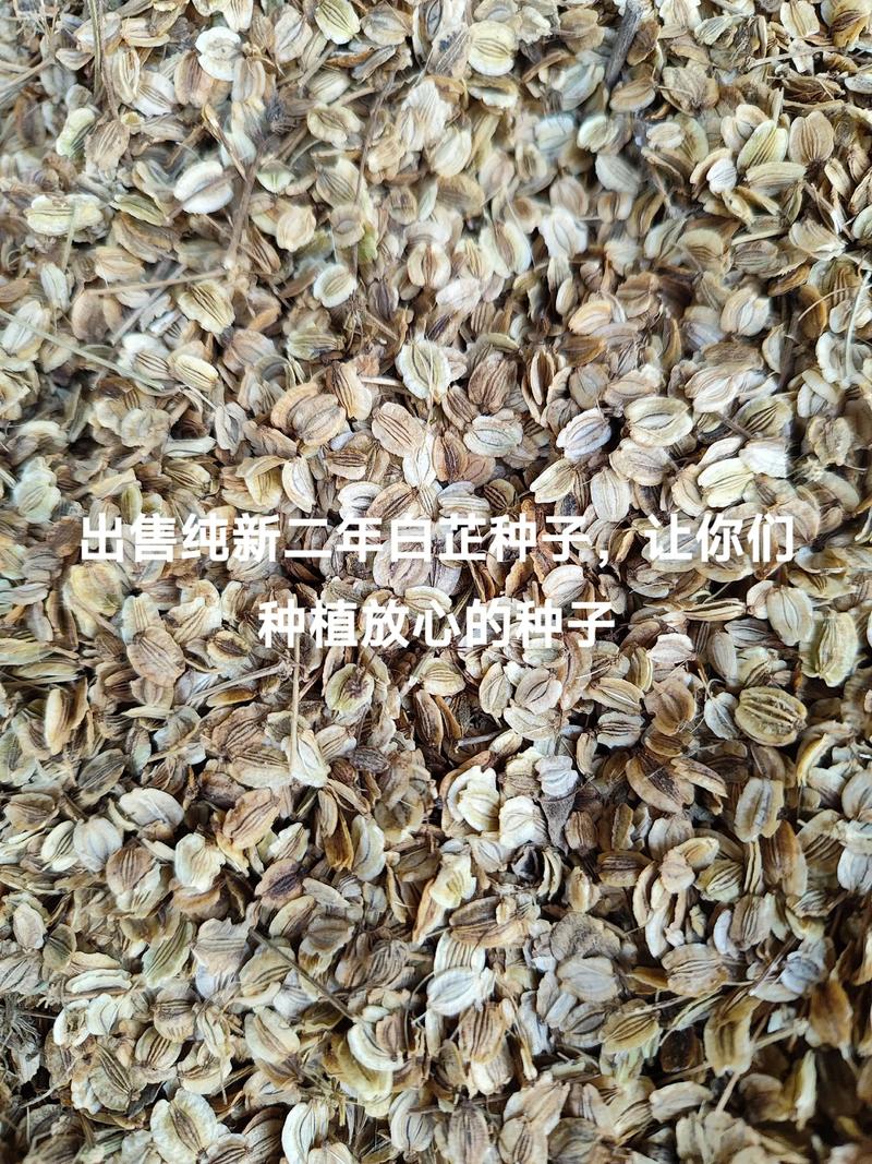 影响因素五：运输与物流