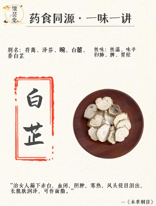 咨询指南