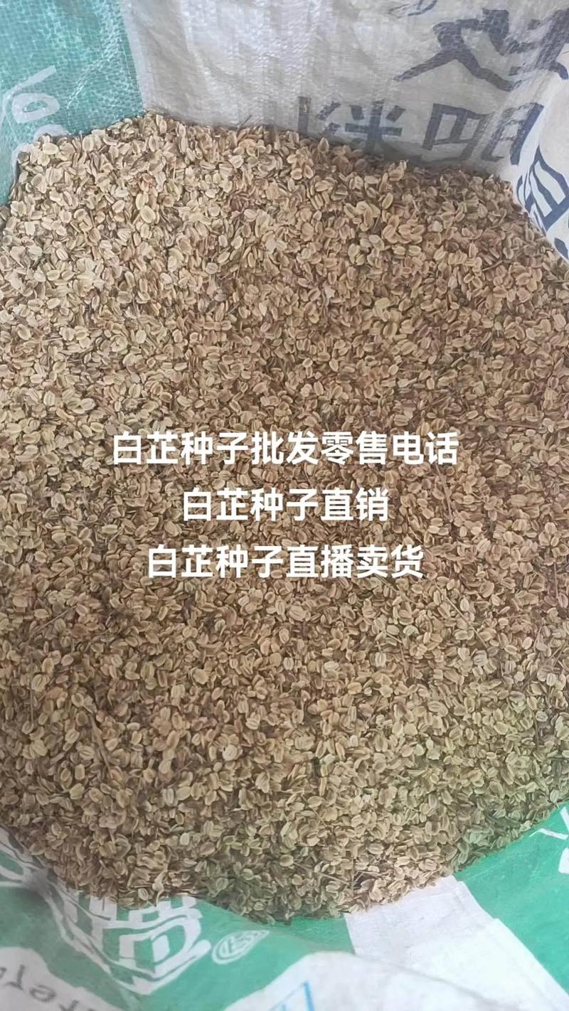 常见问题（FAQ）