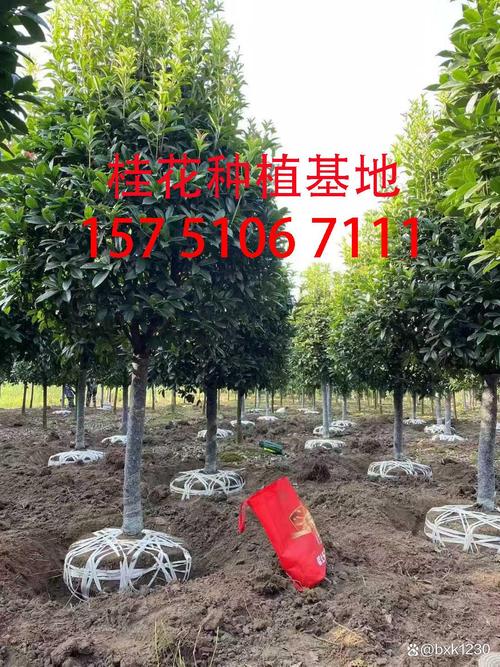 3. 季节因素：什么时候买最便宜？