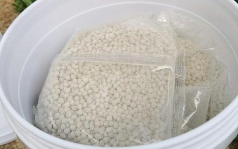 氮肥是什么肥料做成？一文读懂氮肥的原料来源与生产工艺