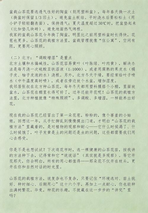 影响茶花开花的关键因素