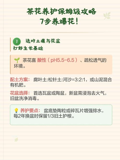 总结