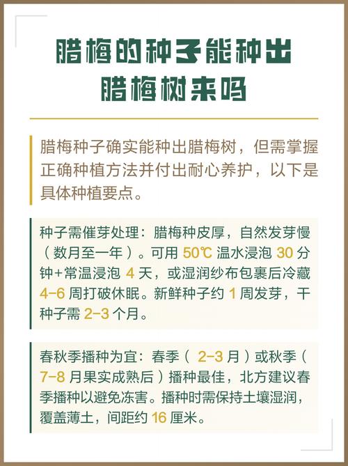 腊梅果可以种吗?从种子到成苗,一份完整的腊梅播种种植指南 七、成活注意事项