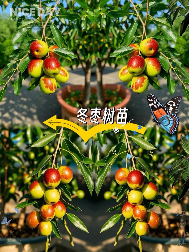 耐寒耐旱的园艺小苗性能如何?从数据指标到养护实操的深度解析 性能核心指标:数据即标准