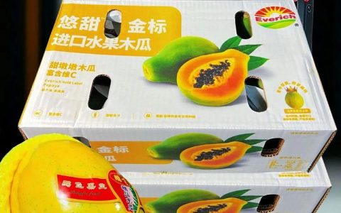 木瓜的价格是多少一斤？2025年最新市场行情深度解析