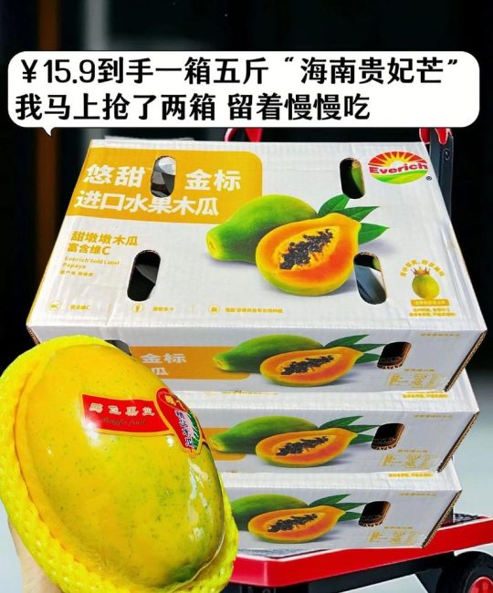 木瓜的价格是多少一斤？2025年最新市场行情深度解析