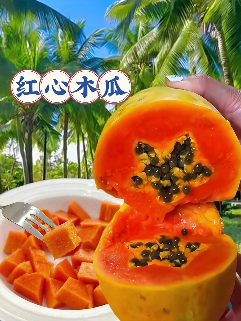木瓜的价格是多少一斤?2025年最新市场行情深度解析 价格影响因素总结表
