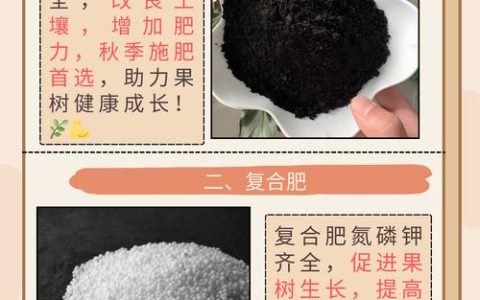 果树上什么肥料最好？分阶段精准施肥方案与配方推荐