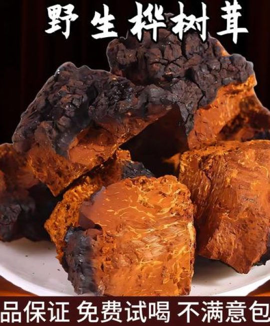 桦树茸什么样的最好最正宗？从外观到产地，手把手教你挑选优质桦树茸